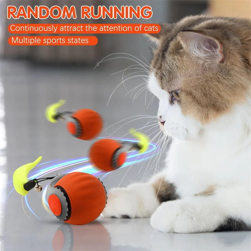 ZuffiMotion™ Smart Cat Interactive Ballving Bouncing ball Cats Products