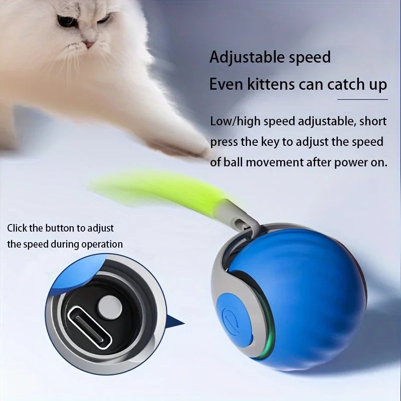 ZuffiMotion™ Smart Cat Interactive Ballving Bouncing ball Cats Products